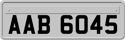 AAB6045