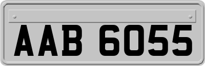 AAB6055