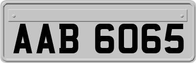 AAB6065