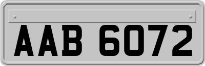 AAB6072