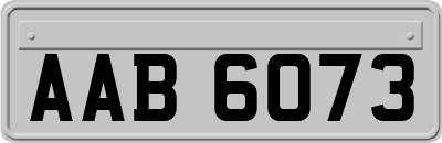 AAB6073