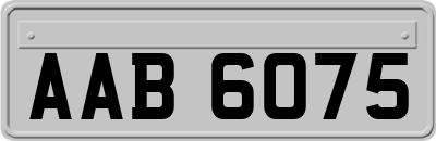 AAB6075