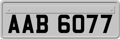 AAB6077