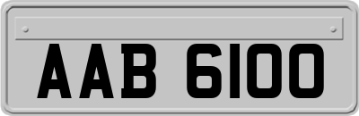 AAB6100