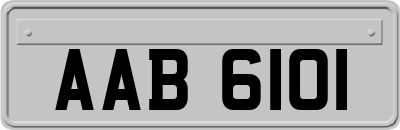 AAB6101