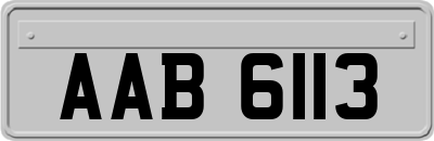 AAB6113