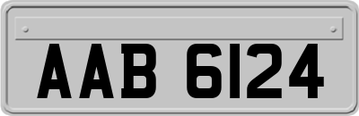 AAB6124