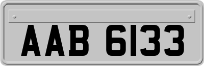 AAB6133