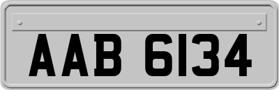 AAB6134