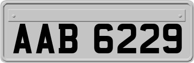 AAB6229