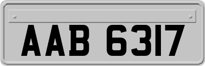 AAB6317