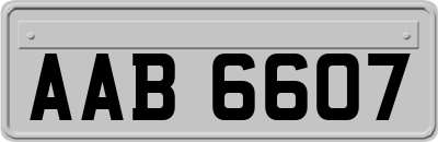 AAB6607