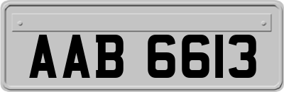 AAB6613