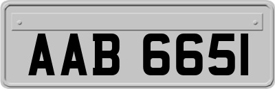 AAB6651