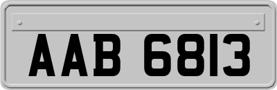 AAB6813