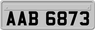 AAB6873