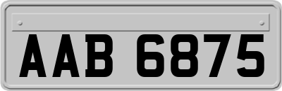 AAB6875