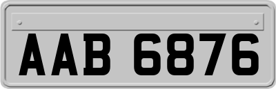 AAB6876