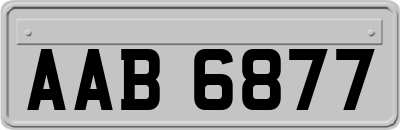 AAB6877