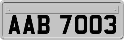 AAB7003