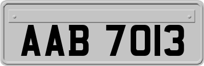 AAB7013