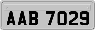 AAB7029