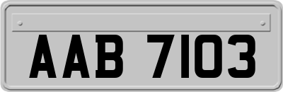 AAB7103