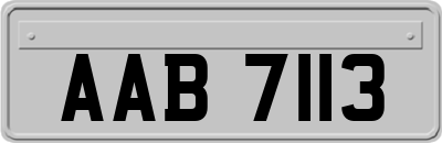 AAB7113