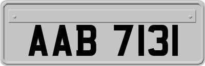 AAB7131