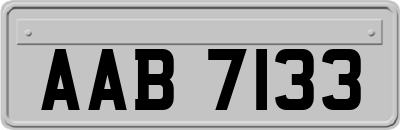 AAB7133