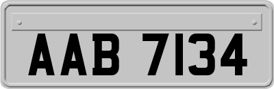 AAB7134