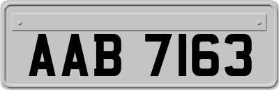 AAB7163