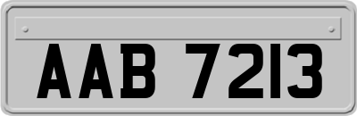 AAB7213