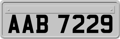 AAB7229