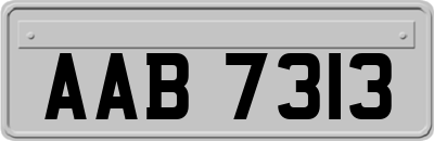 AAB7313