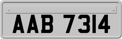 AAB7314