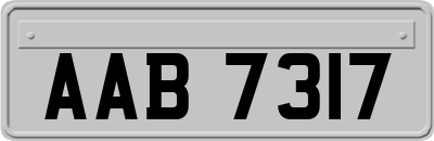 AAB7317