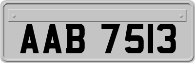 AAB7513