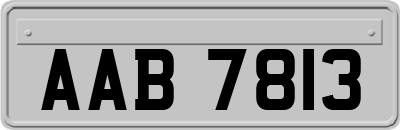 AAB7813