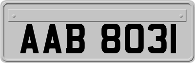 AAB8031