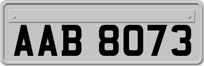 AAB8073