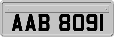 AAB8091