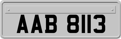 AAB8113