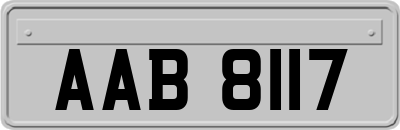 AAB8117