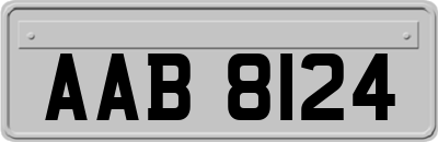 AAB8124