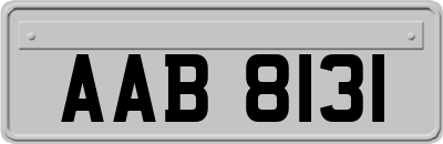 AAB8131