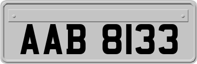 AAB8133