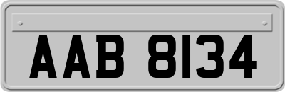 AAB8134