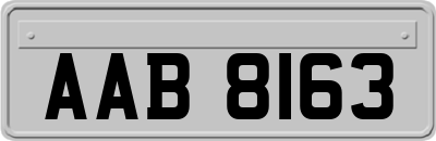 AAB8163