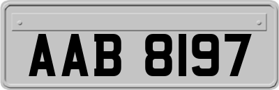 AAB8197